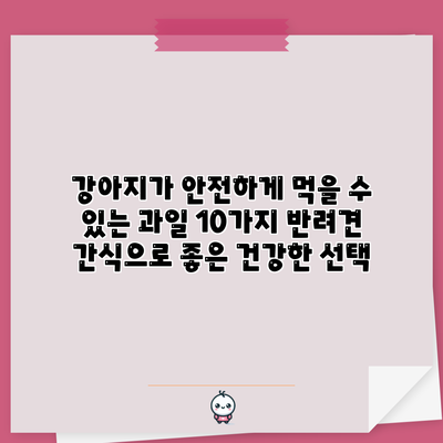 강아지가 안전하게 먹을 수 있는 과일 10가지: 반려견 간식으로 좋은 건강한 선택