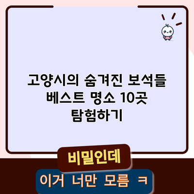 고양시의 숨겨진 보석들: 베스트 명소 10곳 탐험하기