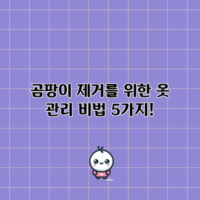 곰팡이 제거를 위한 옷 관리 비법 5가지!