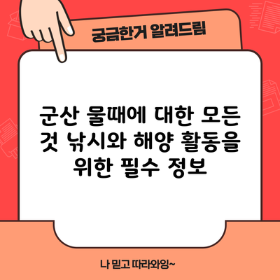 군산 물때에 대한 모든 것: 낚시와 해양 활동을 위한 필수 정보
