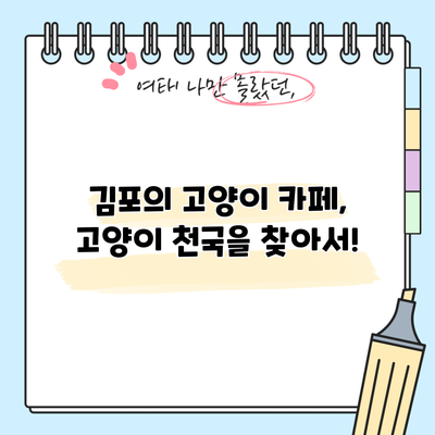 김포의 고양이 카페, 고양이 천국을 찾아서!