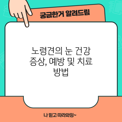 노령견의 눈 건강: 증상, 예방 및 치료 방법