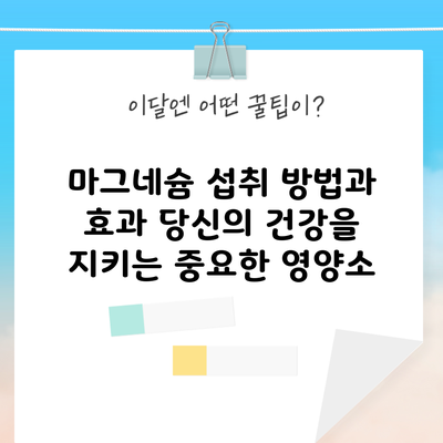 마그네슘 섭취 방법과 효과: 당신의 건강을 지키는 중요한 영양소
