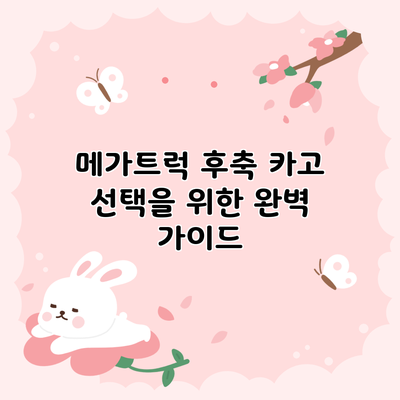 메가트럭 후축 카고 선택을 위한 완벽 가이드