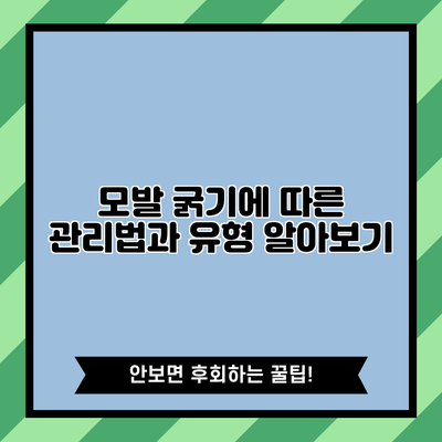 모발 굵기에 따른 관리법과 유형 알아보기