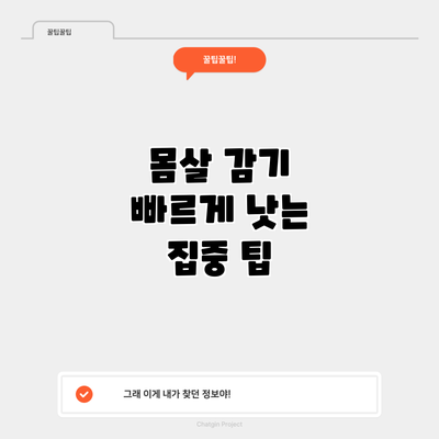 몸살 감기 빠르게 낫는 집중 팁