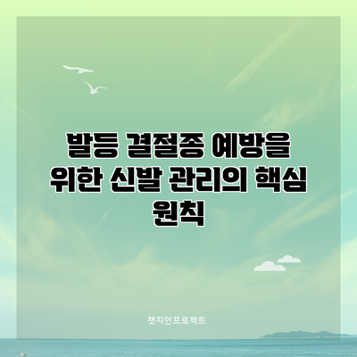 발등 결절종 예방을 위한 신발 관리의 핵심 원칙