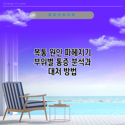 복통 원인 파헤치기: 부위별 통증 분석과 대처 방법