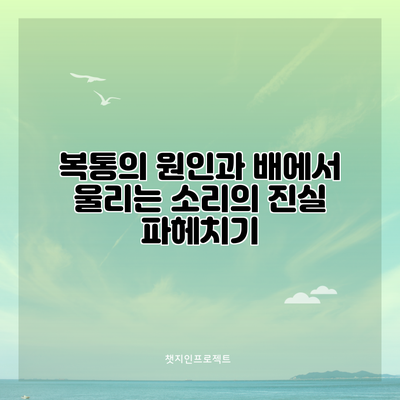 복통의 원인과 배에서 울리는 소리의 진실 파헤치기