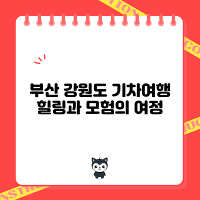 부산 강원도 기차여행: 힐링과 모험의 여정