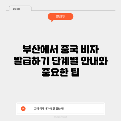 부산에서 중국 비자 발급하기: 단계별 안내와 중요한 팁