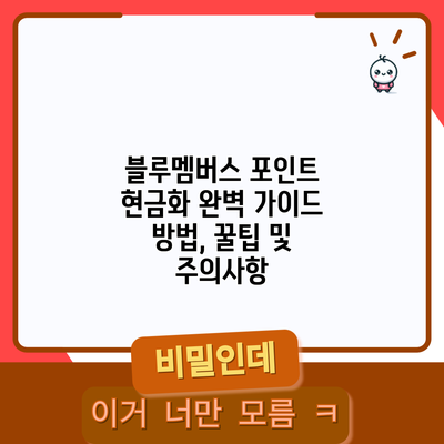 블루멤버스 포인트 현금화 완벽 가이드: 방법, 꿀팁 및 주의사항