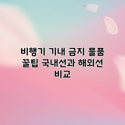 비행기 기내 금지 물품 꿀팁: 국내선과 해외선 비교