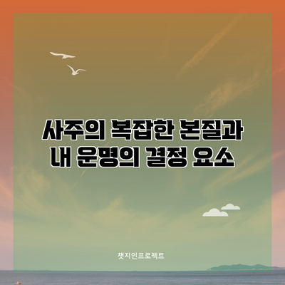 사주의 복잡한 본질과 내 운명의 결정 요소