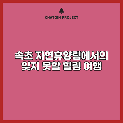 속초 자연휴양림에서의 잊지 못할 힐링 여행
