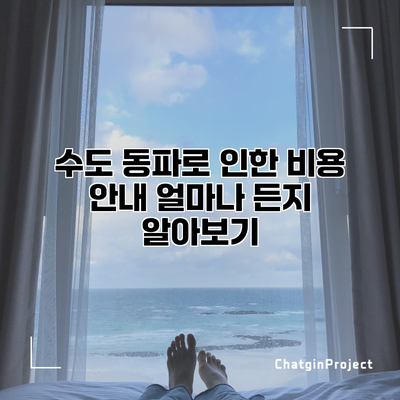 수도 동파로 인한 비용 안내: 얼마나 든지 알아보기