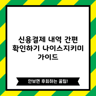 신용결제 내역 간편 확인하기: 나이스지키미 가이드