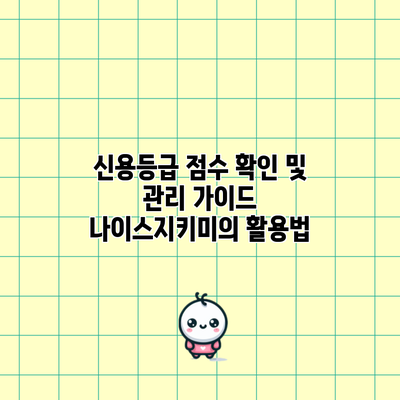 신용등급 점수 확인 및 관리 가이드: 나이스지키미의 활용법