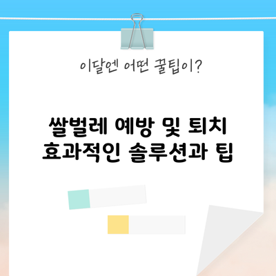 쌀벌레 예방 및 퇴치: 효과적인 솔루션과 팁