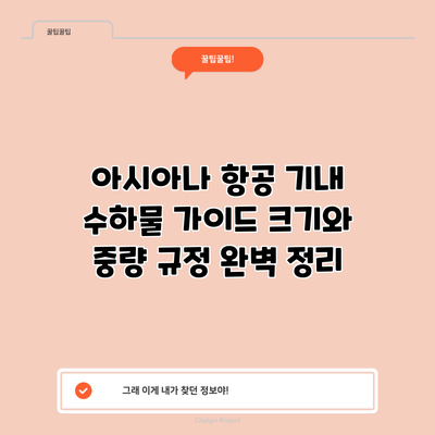 아시아나 항공 기내 수하물 가이드: 크기와 중량 규정 완벽 정리
