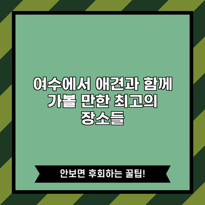 여수에서 애견과 함께 가볼 만한 최고의 장소들