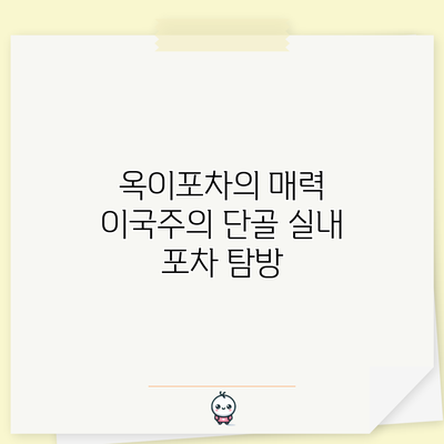 옥이포차의 매력: 이국주의 단골 실내 포차 탐방