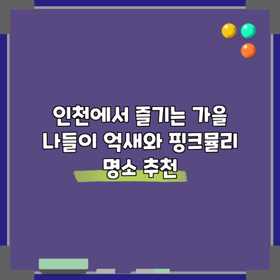 인천에서 즐기는 가을 나들이: 억새와 핑크뮬리 명소 추천