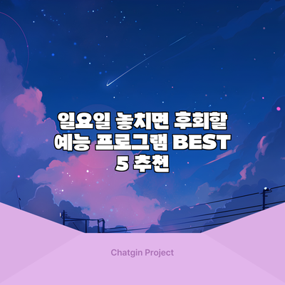 일요일 놓치면 후회할 예능 프로그램 BEST 5 추천
