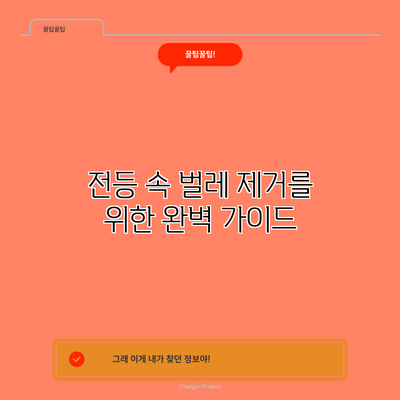 전등 속 벌레 제거를 위한 완벽 가이드