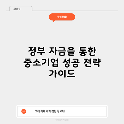 정부 자금을 통한 중소기업 성공 전략 가이드