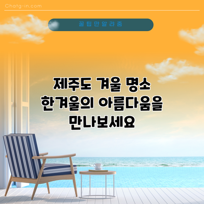 제주도 겨울 명소: 한겨울의 아름다움을 만나보세요