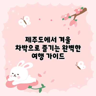 제주도에서 겨울 차박으로 즐기는 완벽한 여행 가이드