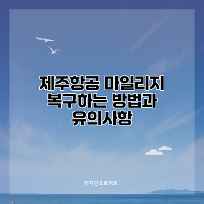 제주항공 마일리지 복구하는 방법과 유의사항