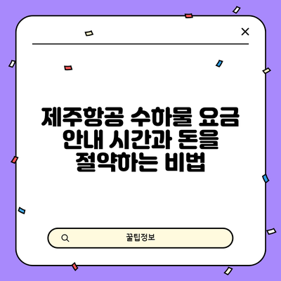 제주항공 수하물 요금 안내: 시간과 돈을 절약하는 비법