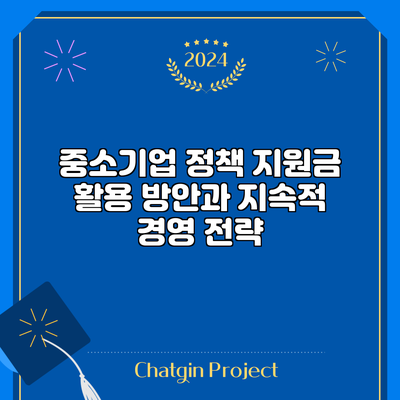 중소기업 정책 지원금 활용 방안과 지속적 경영 전략