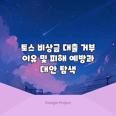 토스 비상금 대출 거부 이유 및 피해 예방과 대안 탐색