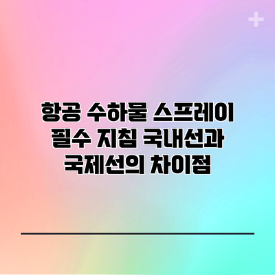 항공 수하물 스프레이 필수 지침: 국내선과 국제선의 차이점