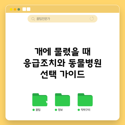 개에 물렸을 때 응급조치와 동물병원 선택 가이드