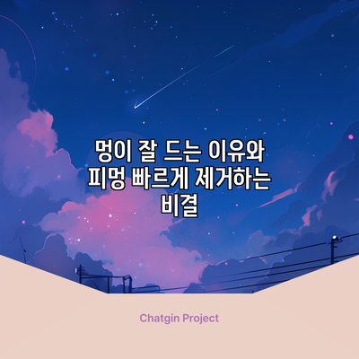 멍이 잘 드는 이유와 피멍 빠르게 제거하는 비결