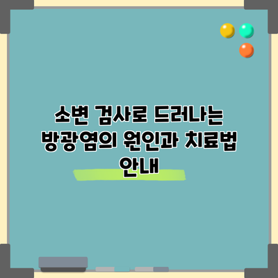 소변 검사로 드러나는 방광염의 원인과 치료법 안내