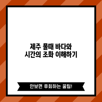 제주 물때: 바다와 시간의 조화 이해하기