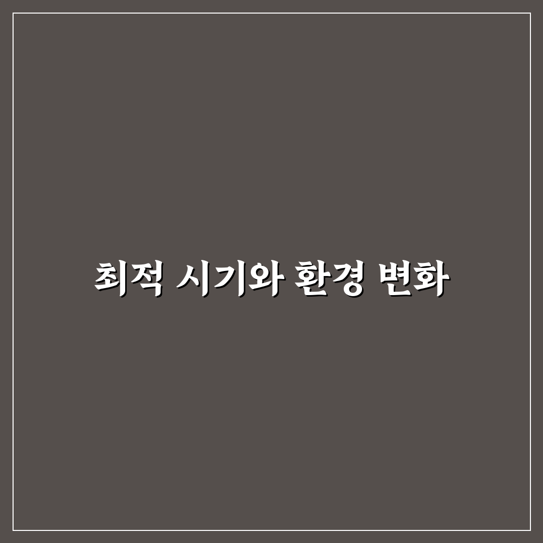 양배추 심는 시기와 기후 맞춤 가이드 비교 분석