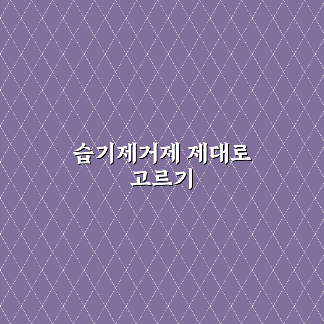 습기제거제 원리와 효과 비교 및 선택 기준 총정리