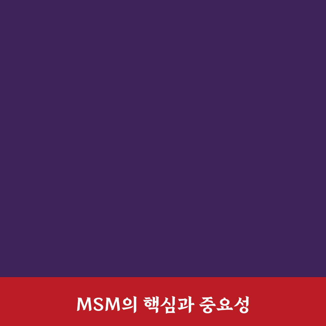 msm 효능과 부작용 5가지 기준별 비교 분석 총정리
