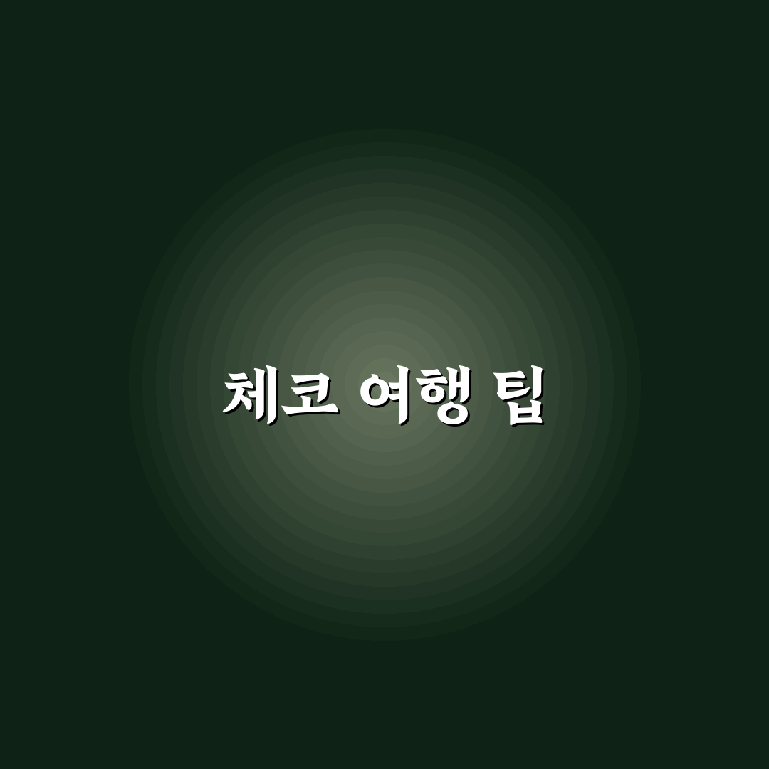 체코 여행 주의사항 초보자를 위한 꿀팁 정리